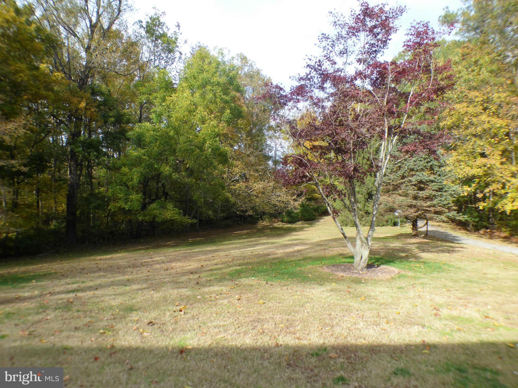 1521 Stinnett Road Huntingtown, MD 20639 - Photo 25 of 30 a view of a yard with a tree