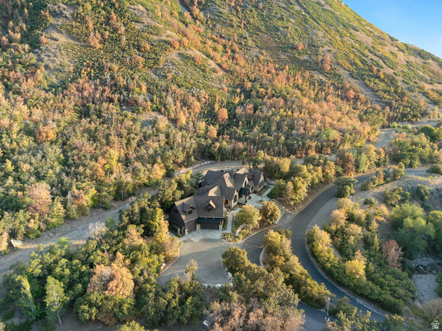 1141 South Oak Leaf Lane Springville, UT 84663 - Photo 137 of 147 Custom residence nestled within a mountainous setting, featuring a multi-gabled roofline and a paved driveway