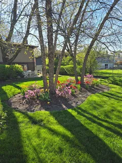$599,900 | 703 East Redwood Lane, Arlington Heights, IL 60004