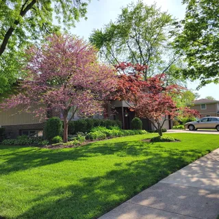 $599,900 | 703 East Redwood Lane, Arlington Heights, IL 60004