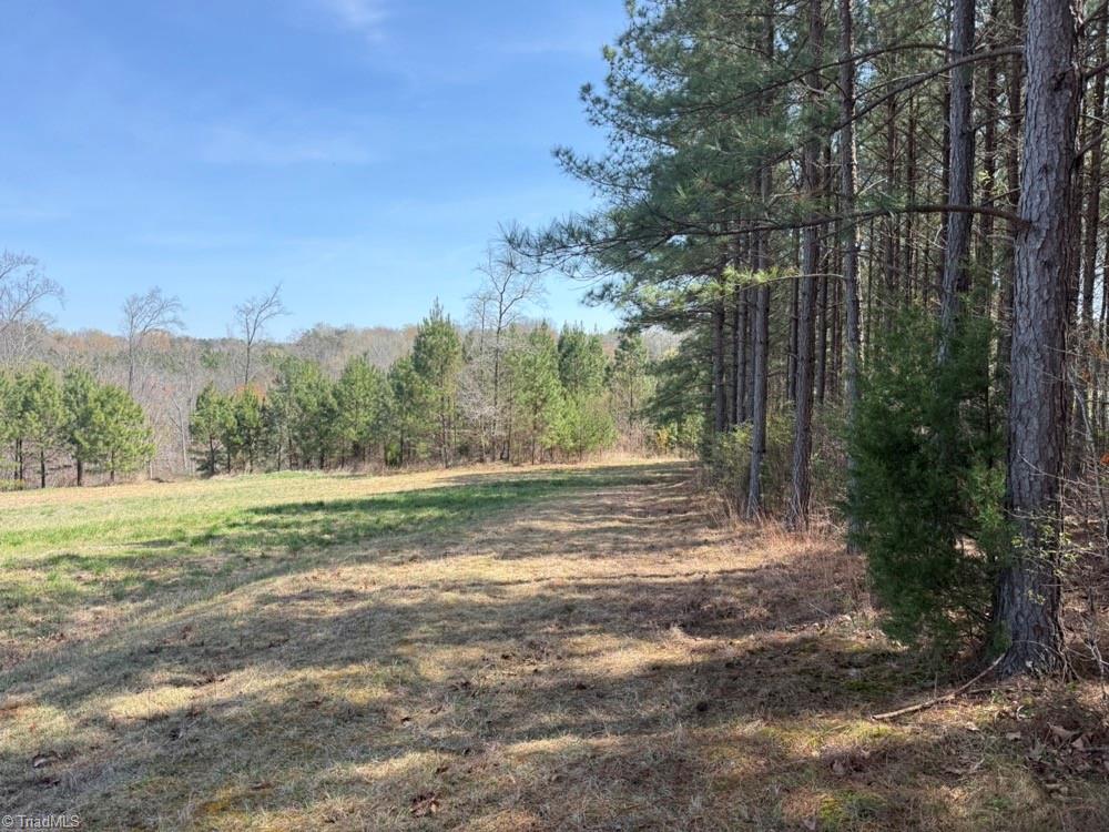 508 New Lebanon Church Road Reidsville, NC 27320 - Photo 25 of 35