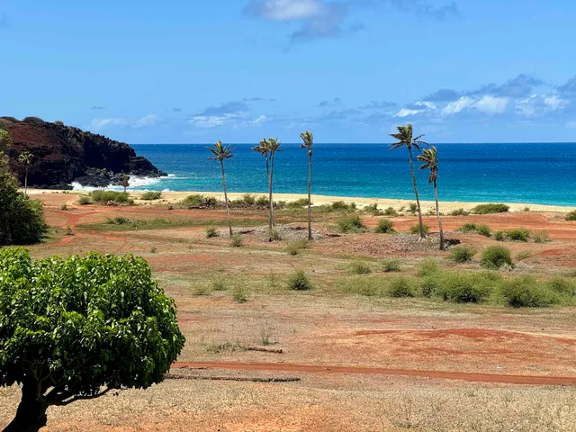 a view of backyard with green space