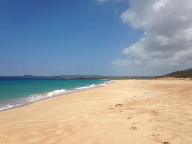 a view of ocean view with beach
