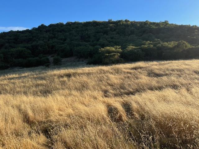 0 Pine Canyon Road King City, CA 93930 - Photo 7 of 12