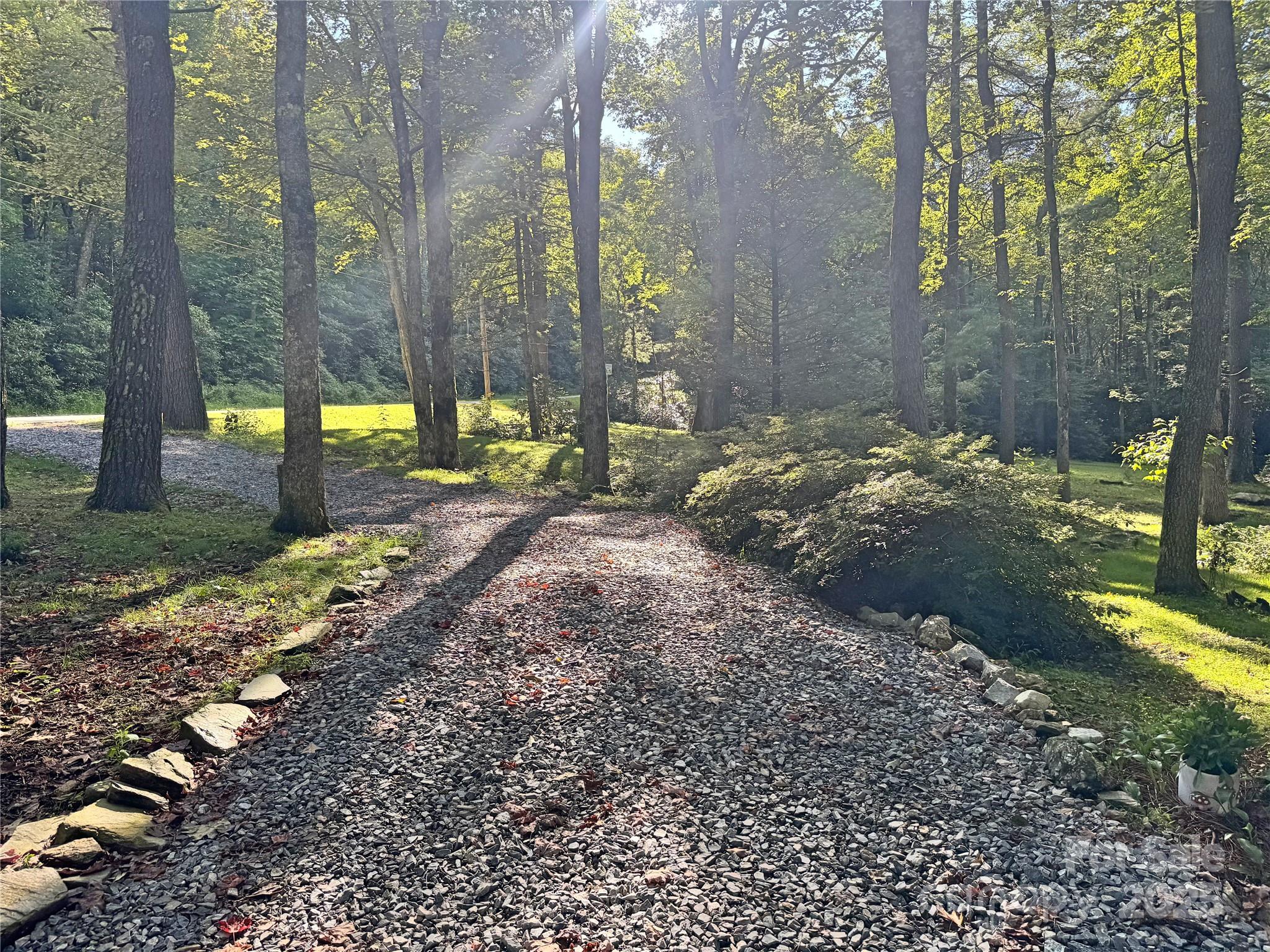 6622 Gingercake Road Newland, NC 28657 - Photo 11 of 48 a view of a yard with plants and trees