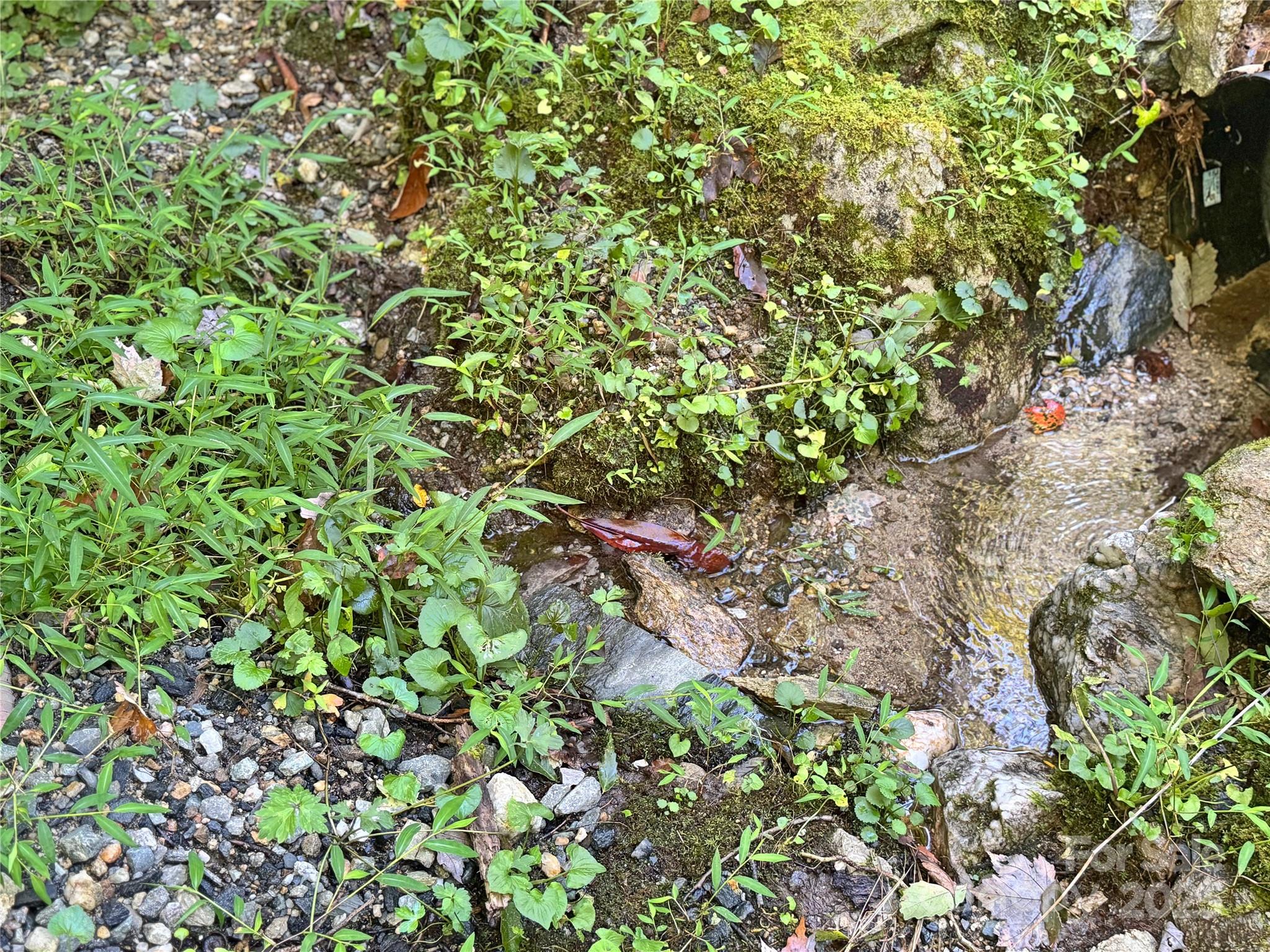 6622 Gingercake Road Newland, NC 28657 - Photo 46 of 48 a backyard of a house