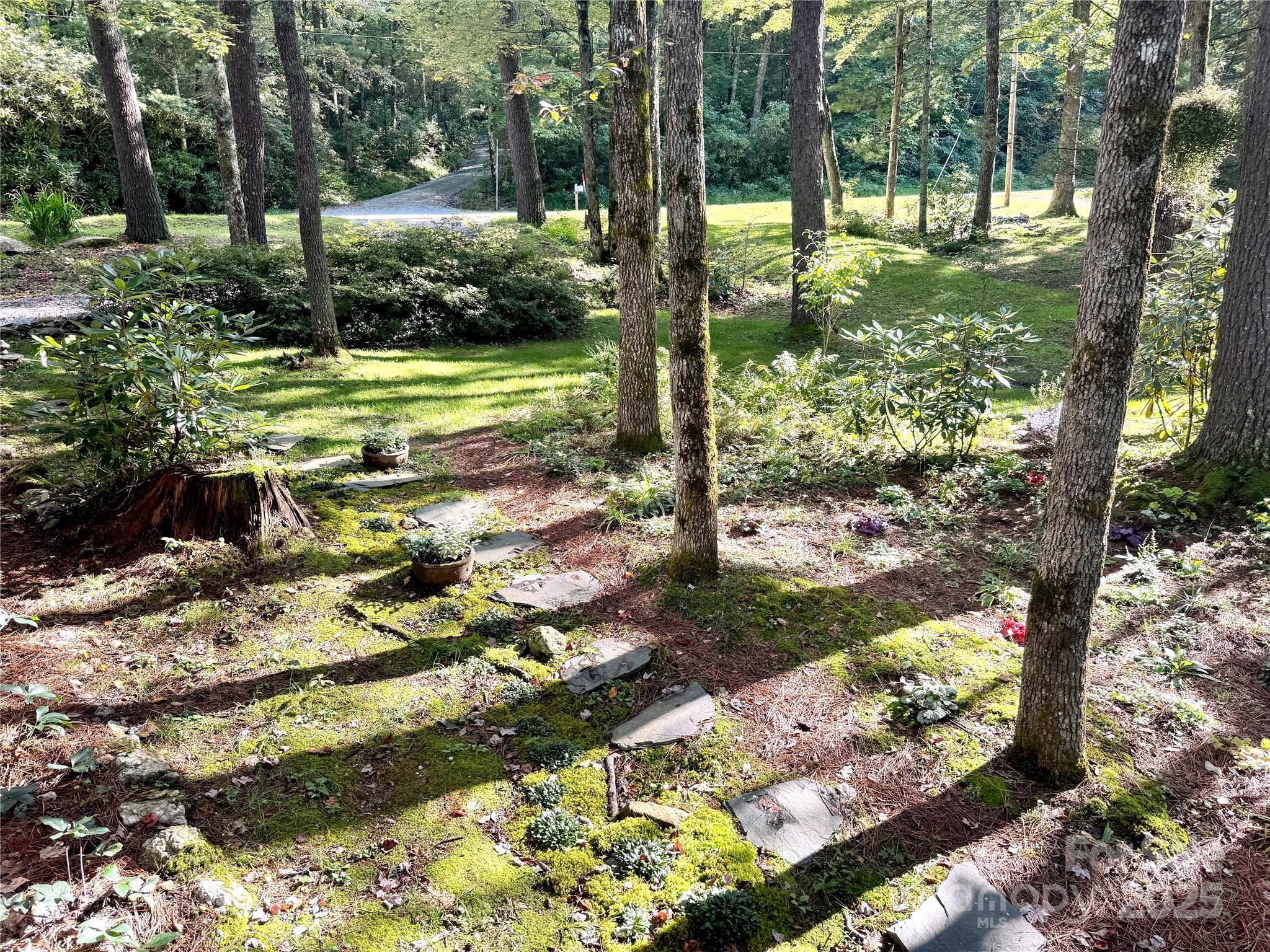 6622 Gingercake Road Newland, NC 28657 - Photo 48 of 48 a view of a trees in a yard