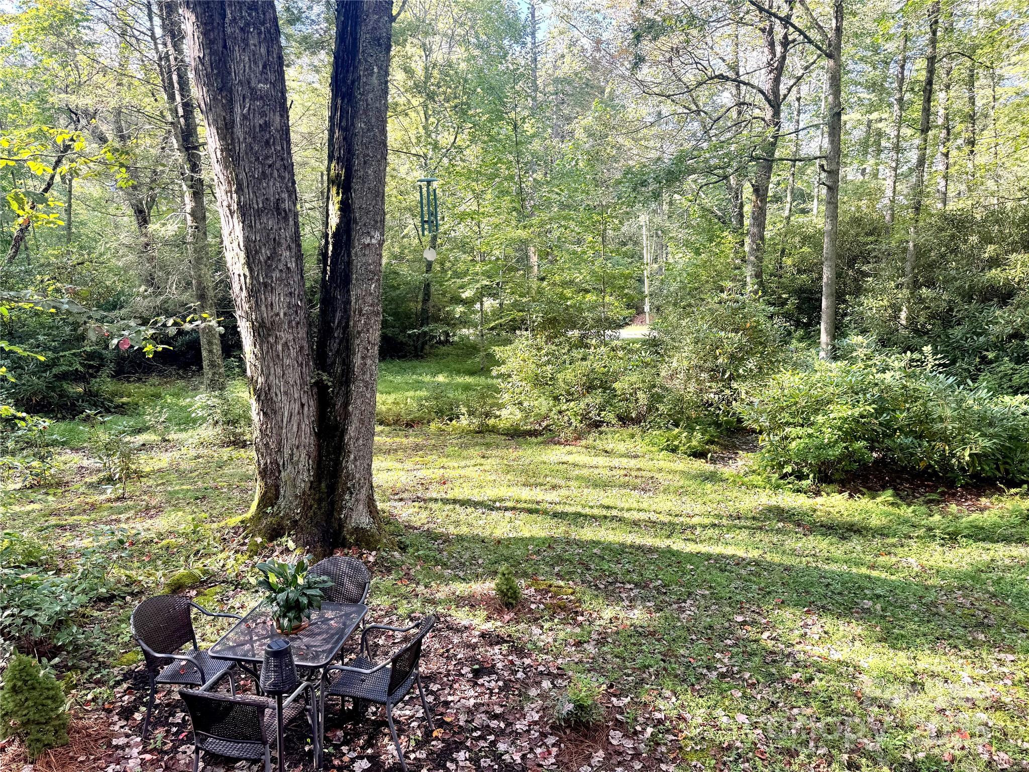 6622 Gingercake Road Newland, NC 28657 - Photo 10 of 48 a view of a garden with a tree