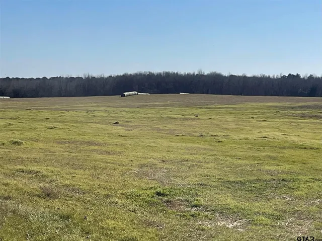 $660,000 | 2376 County Road 2376, Winnsboro, TX 75494