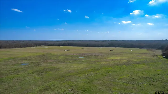 $660,000 | 2376 County Road 2376, Winnsboro, TX 75494