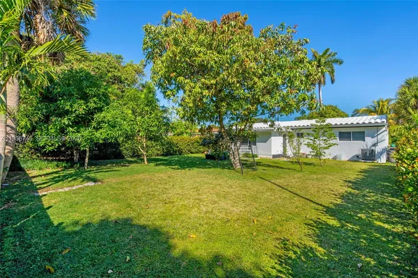 a view of a field with a tree