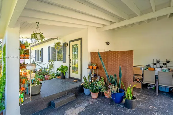 a potted plant sitting in front of a house