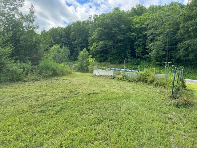 Tbd Lot Norway Road Waterford, ME 04088 - Photo 4 of 21 Road Frontage