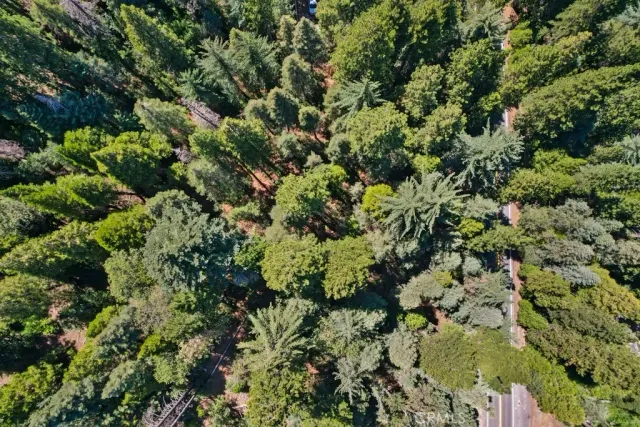 view of a plants and yard
