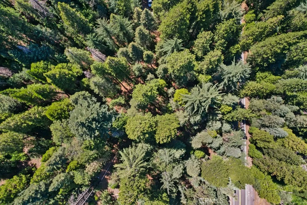 0 Ca-189 Twin Peaks, CA 92391 - Photo 11 of 12 view of a plants and yard