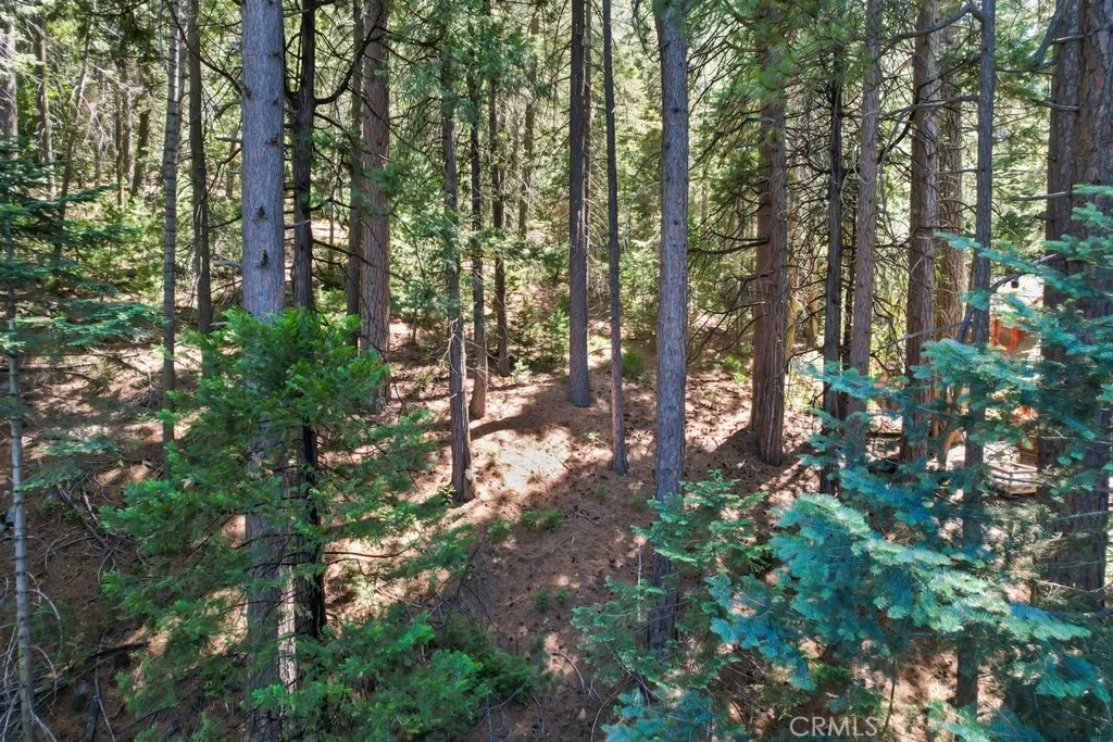 0 Ca-189 Twin Peaks, CA 92391 - Photo 5 of 12 a view of forest