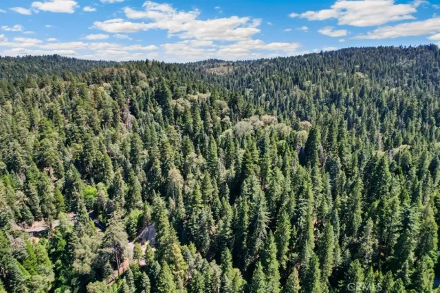 a view of a city with lush green forest