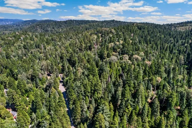 a view of a city with lush green forest