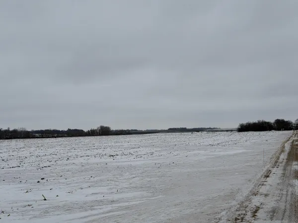 $1 | 31 Lake George Township Belgrade Mn 56312, Belgrade, MN 56312