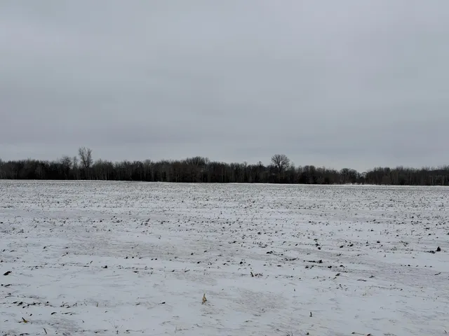 $1 | 31 Lake George Township Belgrade Mn 56312, Belgrade, MN 56312