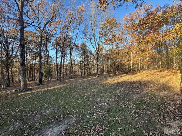 $154,900 | 1301 Wayne 522, Wappapello, MO 63966