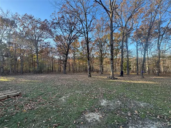 $154,900 | 1301 Wayne 522, Wappapello, MO 63966