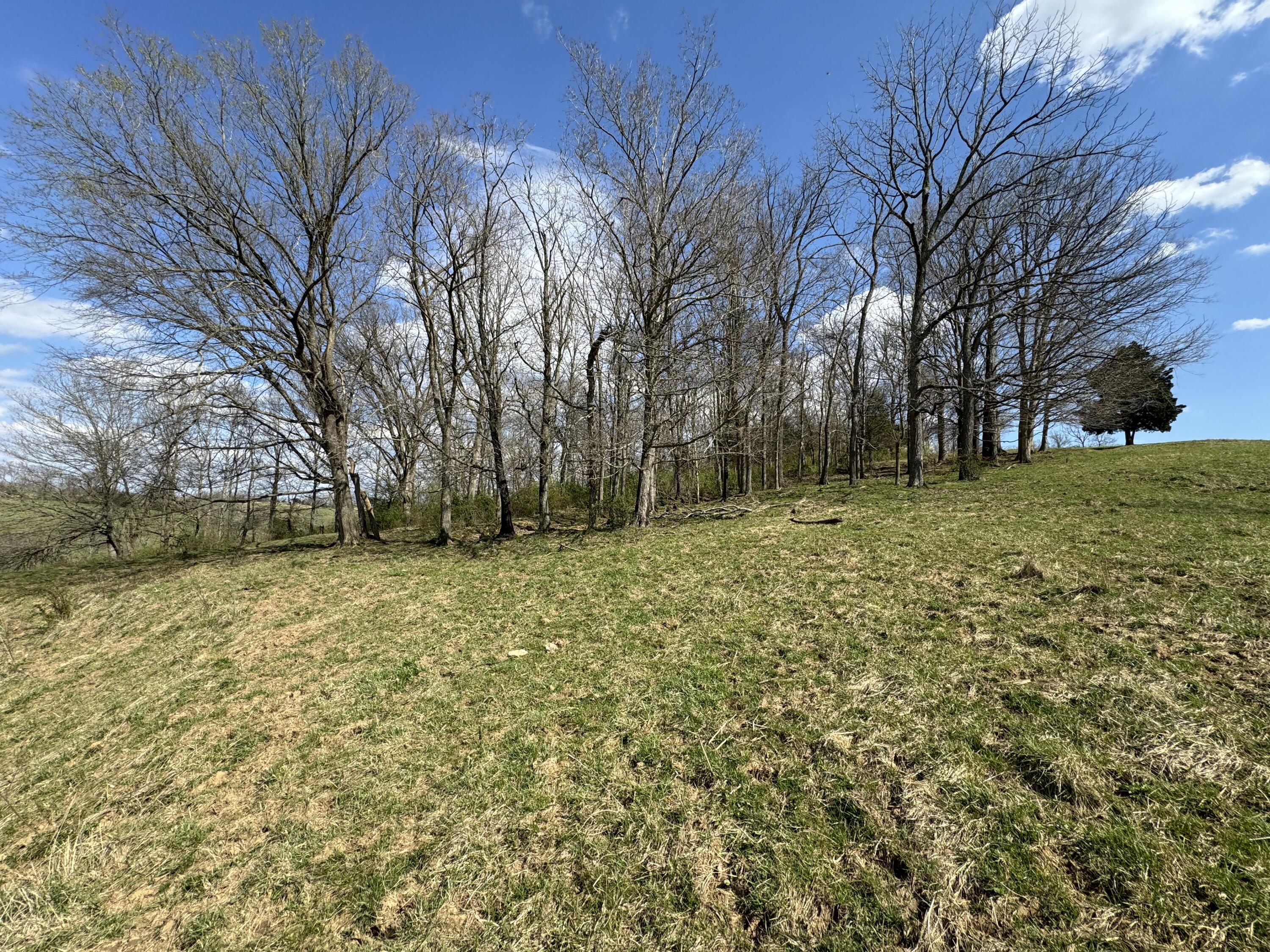 0 Butler Branch Road Flemingsburg, KY 41041 - Photo 18 of 26 IMG_1214