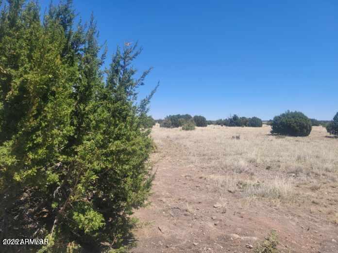 8430 Lake View Drive, Unit 79 Show Low, AZ 85901 - Photo 2 of 3 a view of mountain view with beach