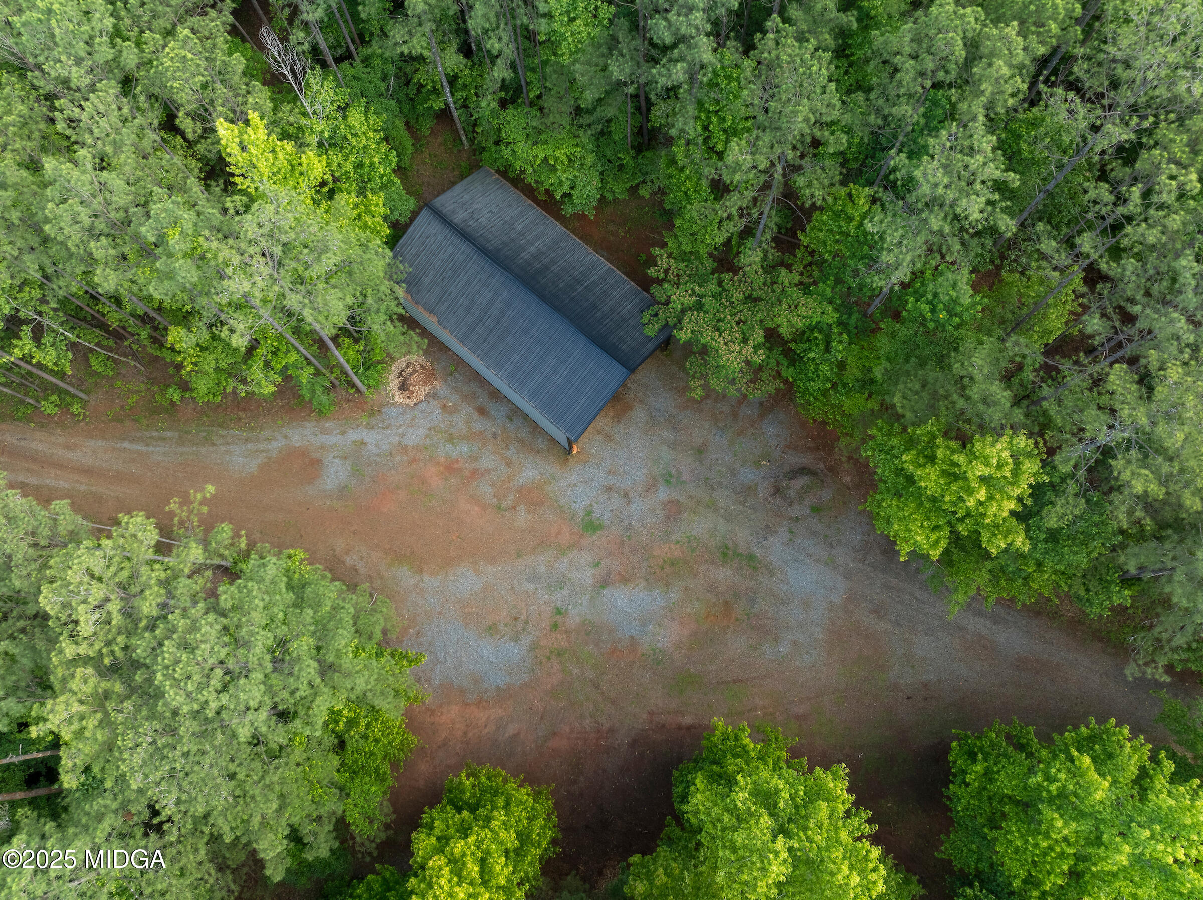 1774 Maynards Mill Road Forsyth, GA 31029 - Photo 20 of 76 a view of a plants in front of a house
