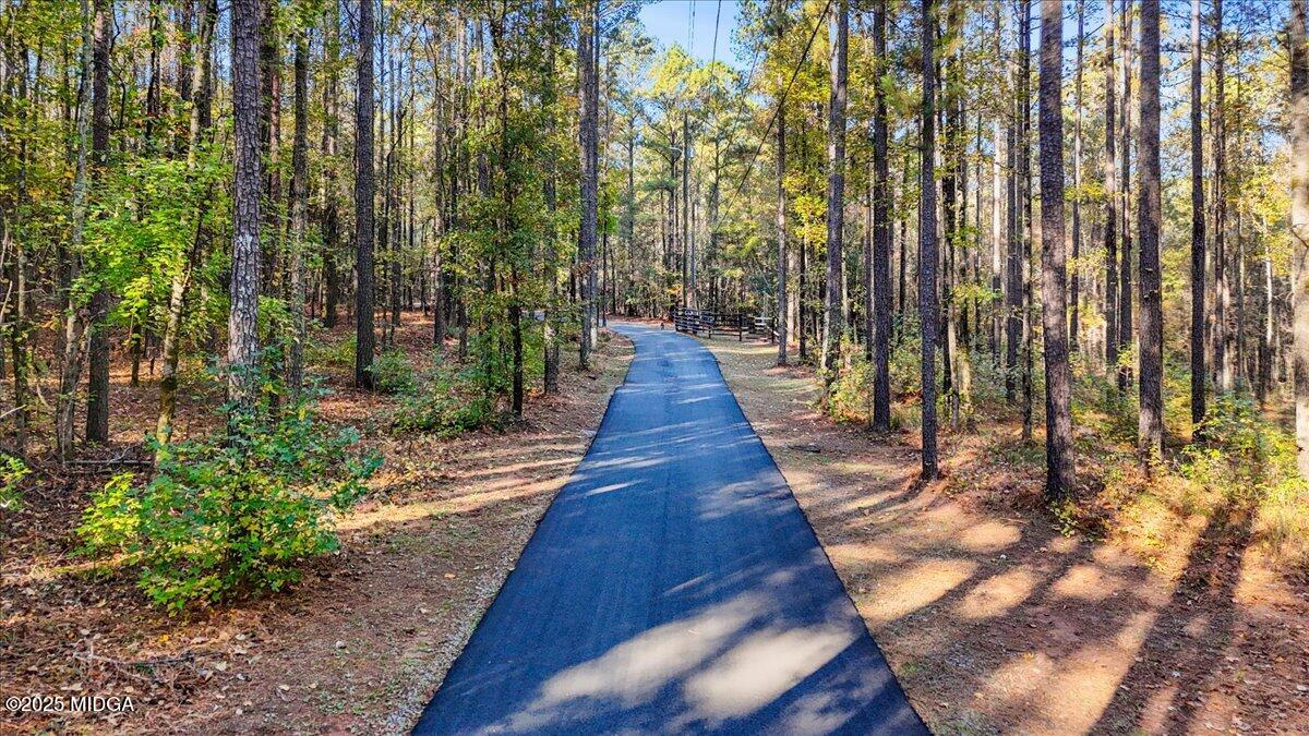 1774 Maynards Mill Road Forsyth, GA 31029 - Photo 3 of 76 41-DJI_20251114222101_0574_D