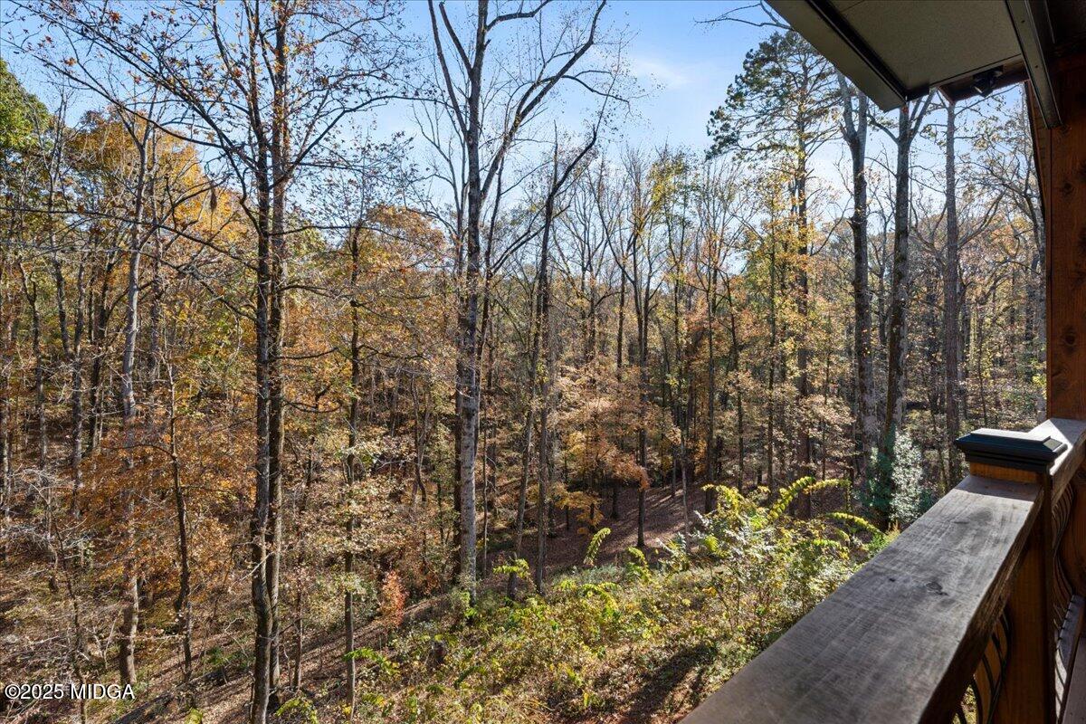 1774 Maynards Mill Road Forsyth, GA 31029 - Photo 43 of 76 08-SONY ILCE-7M4 7040x4688_001789