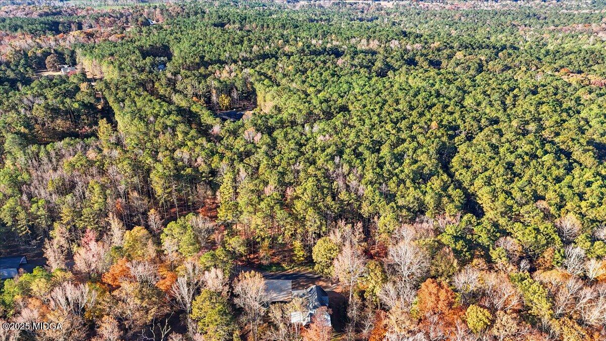 1774 Maynards Mill Road Forsyth, GA 31029 - Photo 5 of 76 24-DJI_20251114220351_0523_D