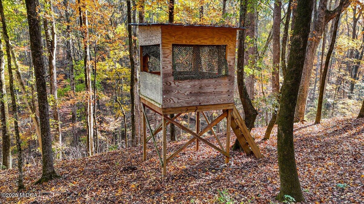 1774 Maynards Mill Road Forsyth, GA 31029 - Photo 7 of 76 36-DJI_20251114221743_0559_D