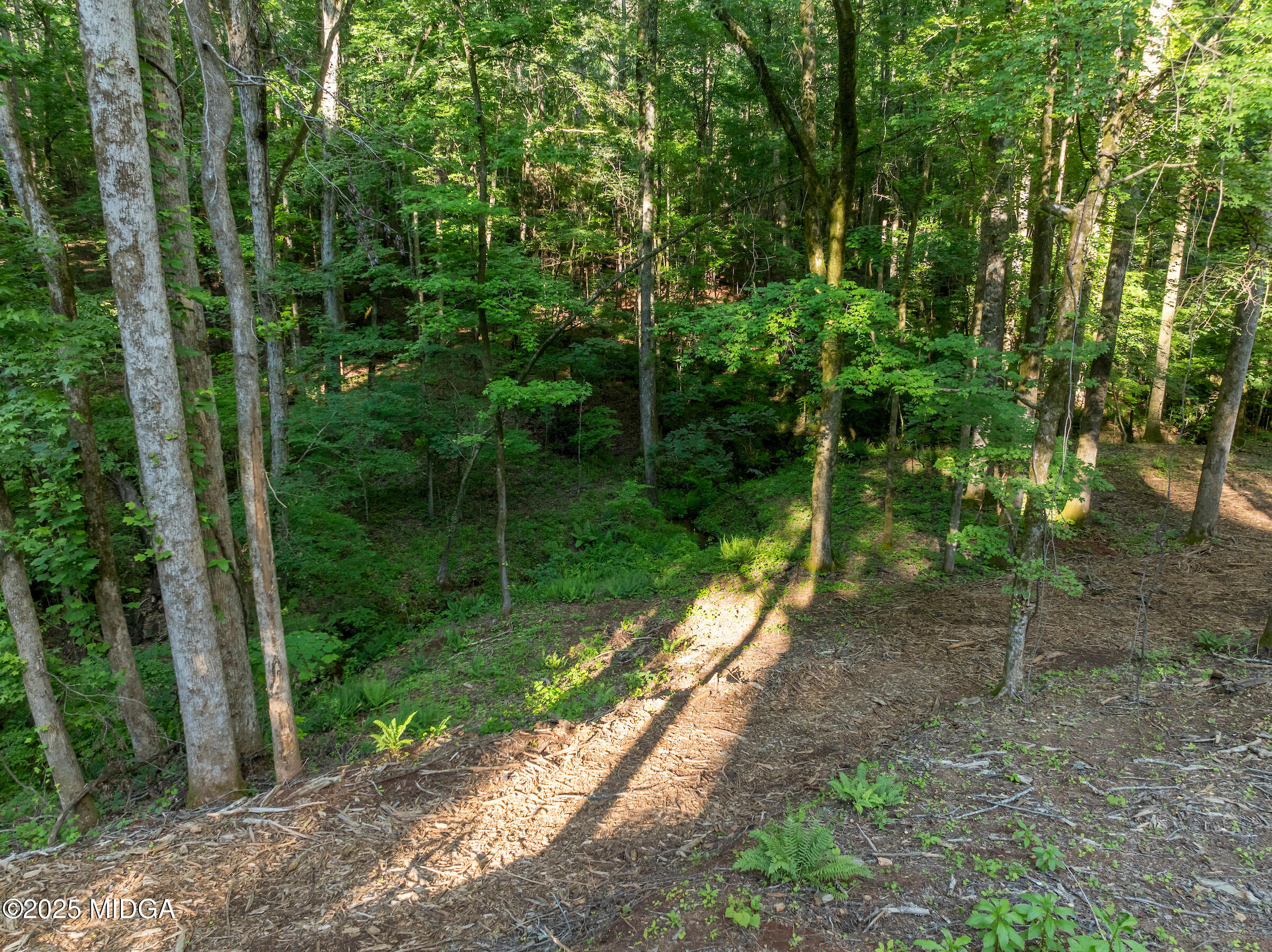 1774 Maynards Mill Road Forsyth, GA 31029 - Photo 71 of 76 DJI_0753-HDR
