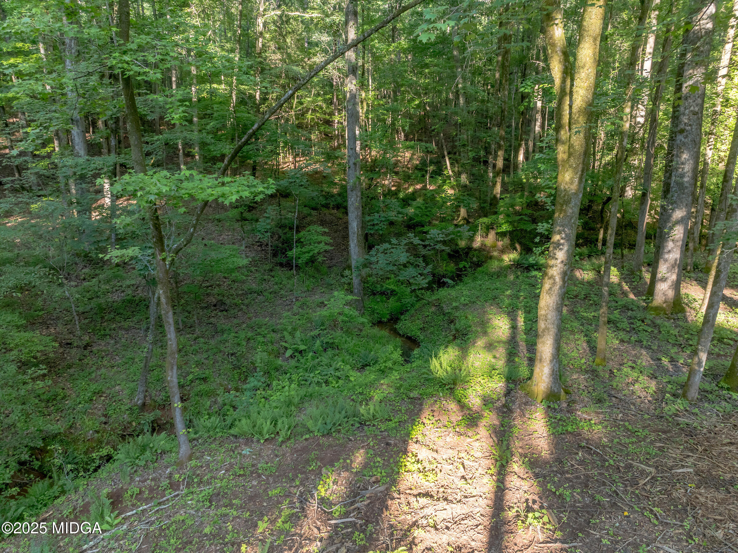 1774 Maynards Mill Road Forsyth, GA 31029 - Photo 73 of 76 a view of a forest