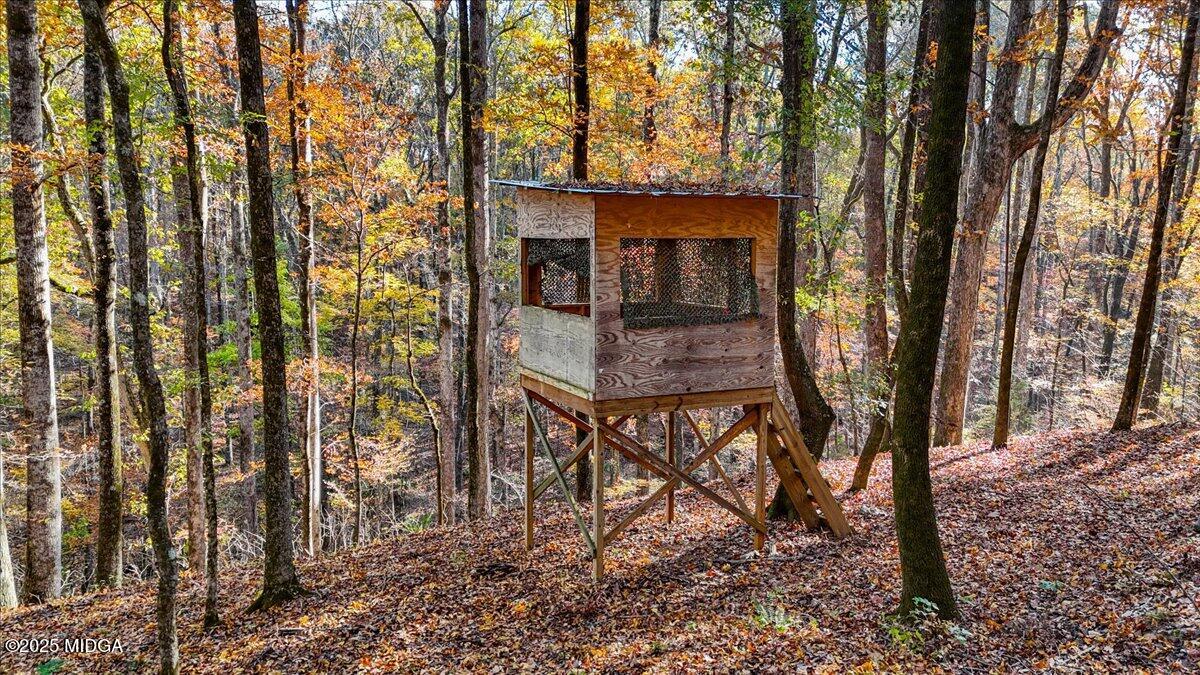 1774 Maynards Mill Road Forsyth, GA 31029 - Photo 9 of 76 38-DJI_20251114221824_0565_D