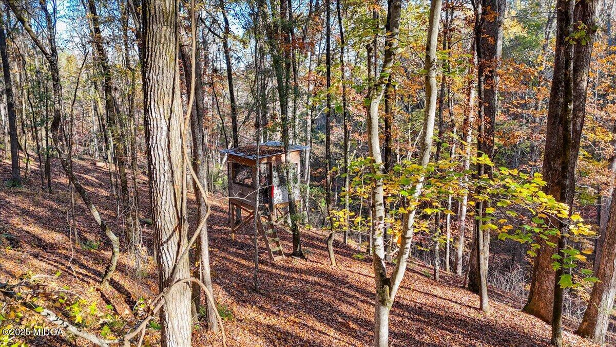 1774 Maynards Mill Road Forsyth, GA 31029 - Photo 10 of 76 a view of outdoor space with lots of trees