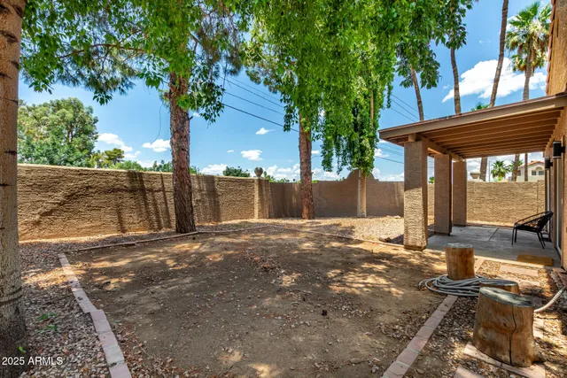 a view of a backyard with large tree