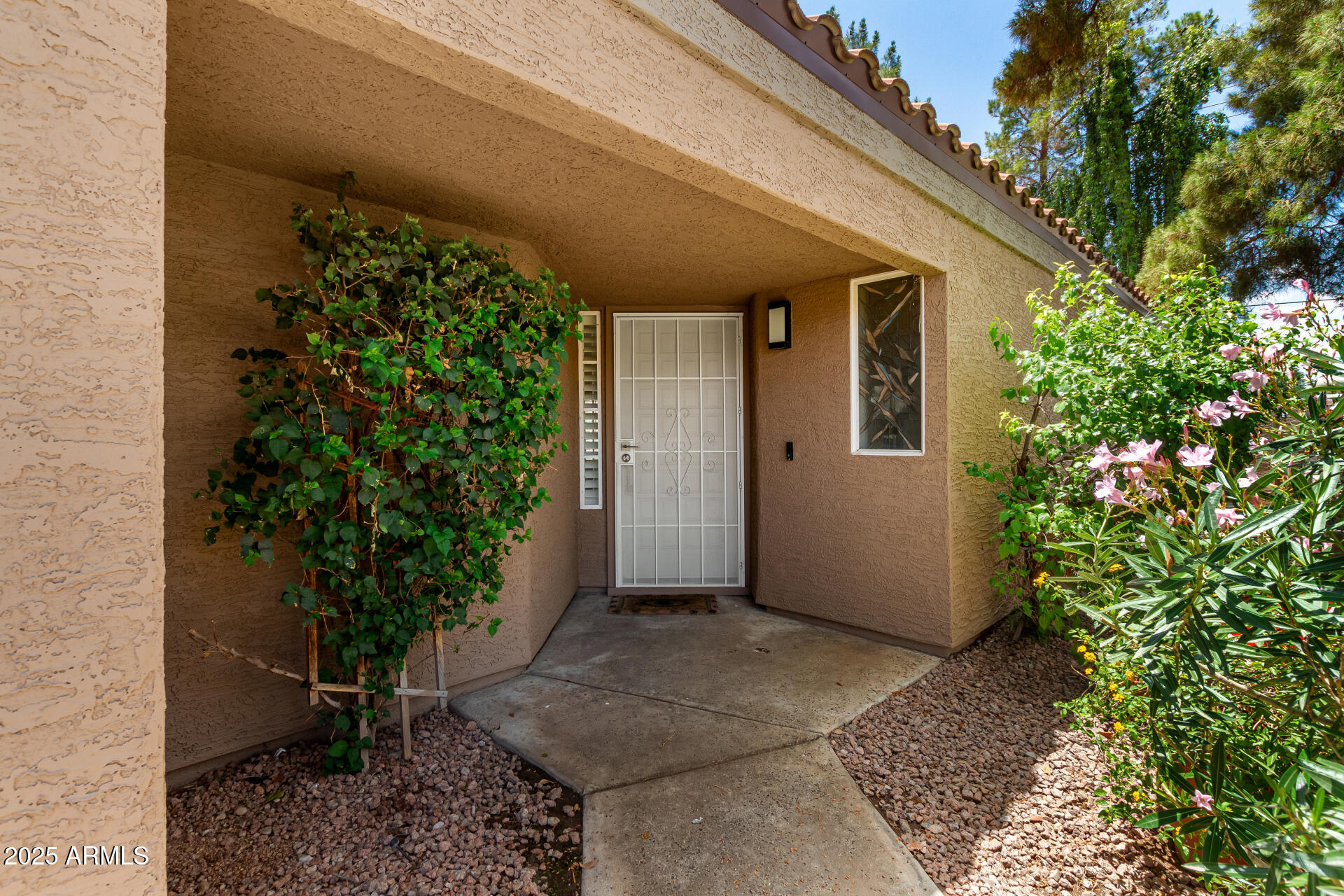 11860 North 40th Way Phoenix, AZ 85028 - Photo 3 of 31 a view of backyard with potted plants
