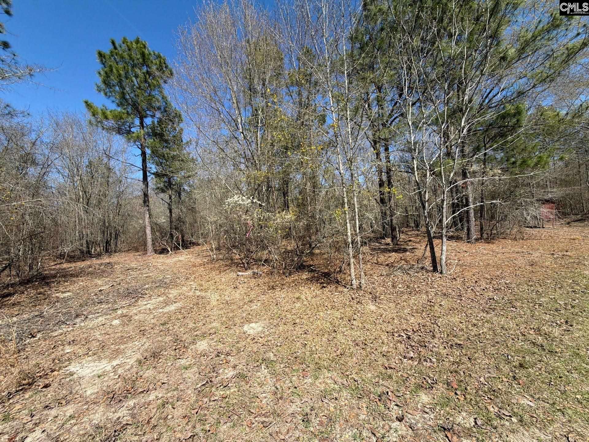 9 Boise Cascade Road, Unit BHL 9 Bethune, SC 29009 - Photo 6 of 44