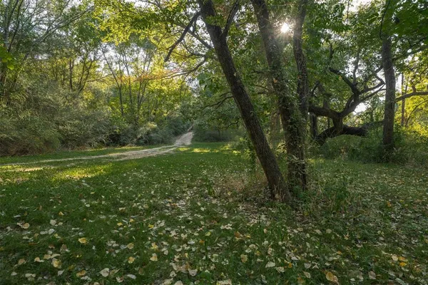 a view of a yard