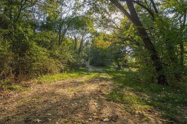 a big yard with lots of green space and plants