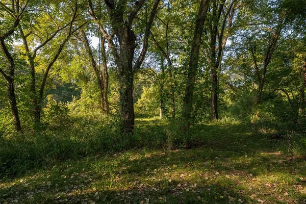 a view of outdoor space with trees