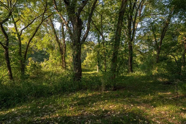 a view of outdoor space with trees