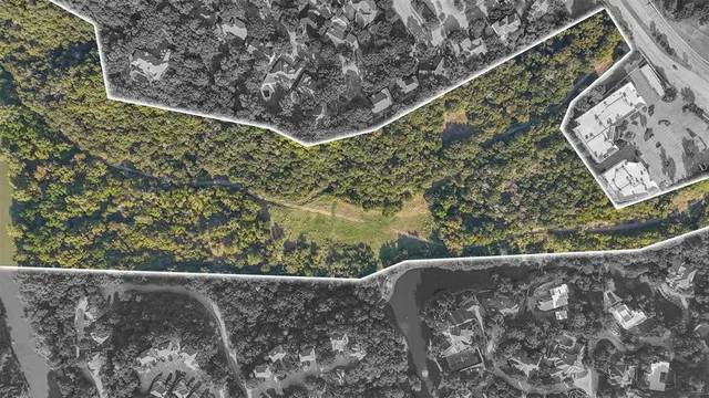 a view of a yard with plants