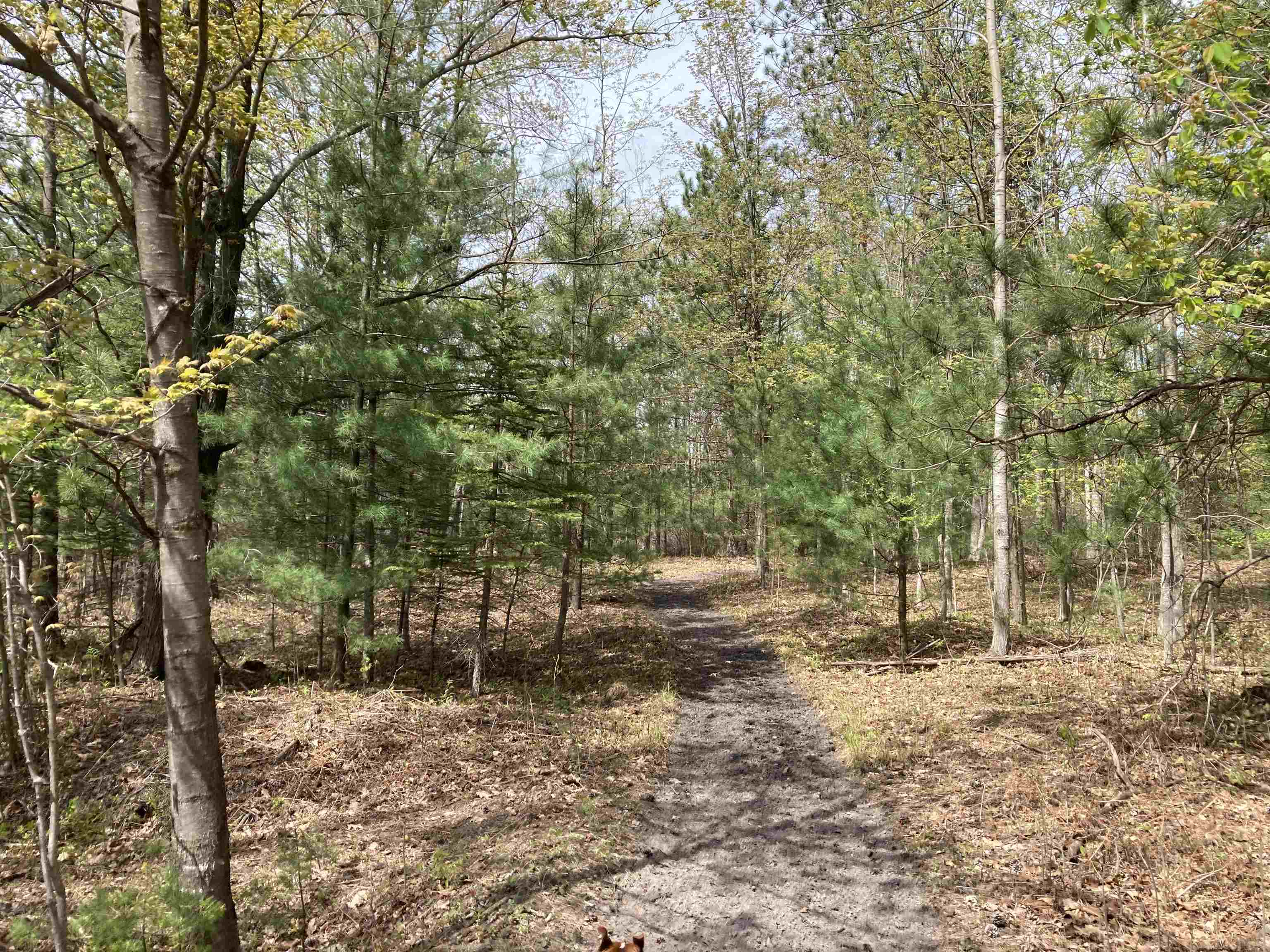 763 Sensabaugh Road Lupton, MI 48635 - Photo 26 of 86 1900015-25.JPG