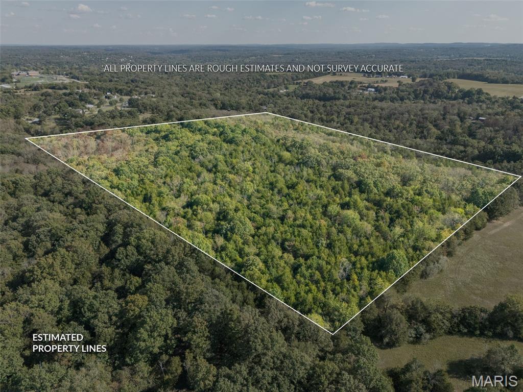 1444 Yellow Rock Road De Soto, MO 63020 - Photo 13 of 44