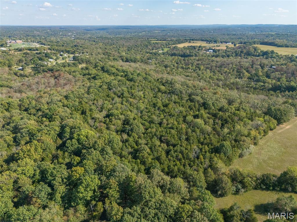 1444 Yellow Rock Road De Soto, MO 63020 - Photo 14 of 44