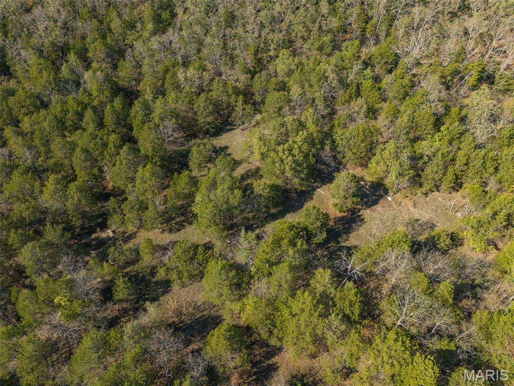 1444 Yellow Rock Road De Soto, MO 63020 - Photo 18 of 44