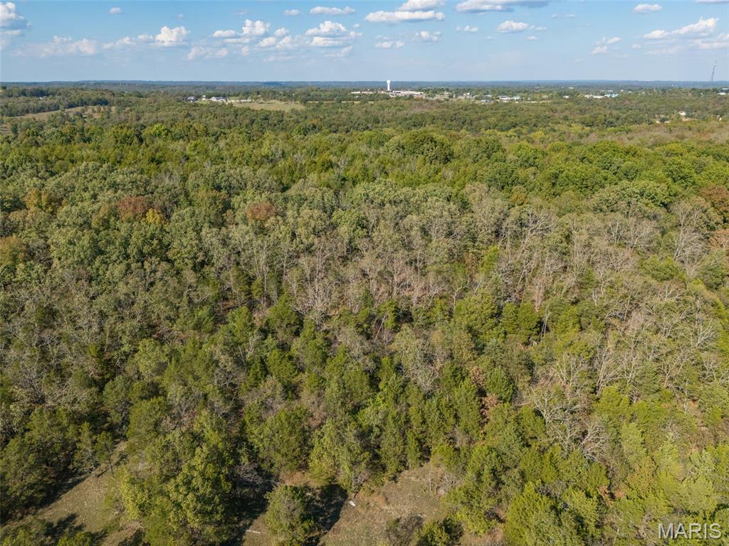 1444 Yellow Rock Road De Soto, MO 63020 - Photo 19 of 44